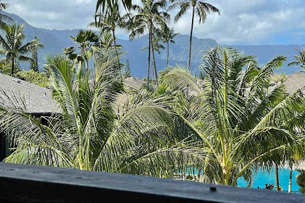Tropical views from your private lanai.