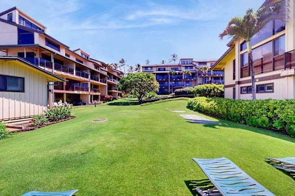 Sun-Drenched Courtyard Lawn Perfect For Unwinding