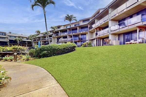 Tranquil Walking Paths Across Expansive Emerald Lawns