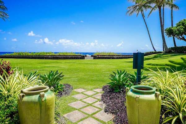 Enjoy the Beauty of the Tropical Landscape