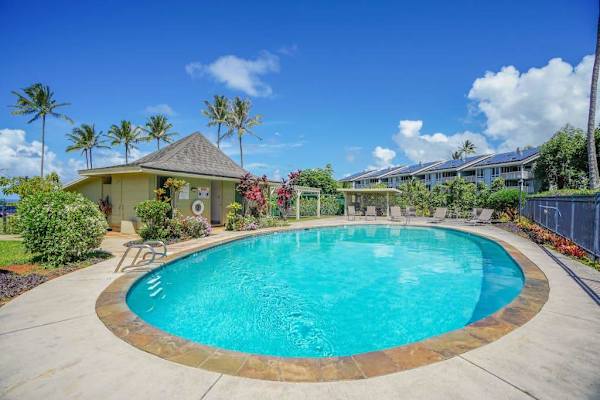 Sparkling resort pool surrounded by palm trees