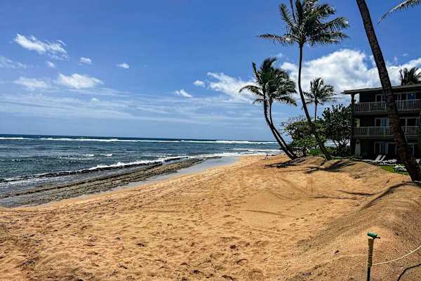 Golden Sand Beach Paradise
