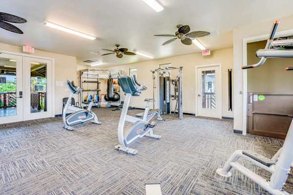 Bright Community Gym With Cardio Equipment