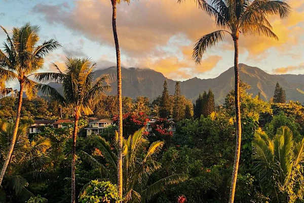 Golden palms frame lush mountains beneath dramatic tropical sunset sky