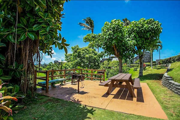 Shaded patio picnic table sits among tropical trees and lawns