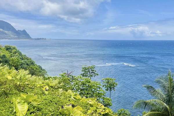 Island homes overlook turquoise water, forested hills, and coastal roads