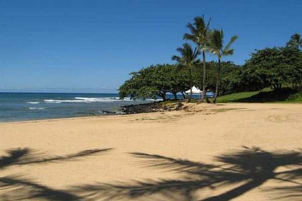 Beach offers gentle waves, palm shadows, and peaceful coastal scenery