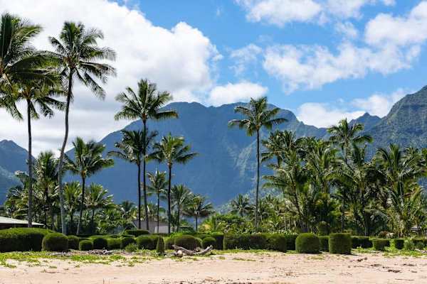 Ocean panorama highlights clear waters, rugged cliffs, and tropical foliage