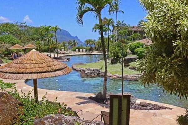 Relax beside the peaceful pool surrounded by lush tropical landscaping