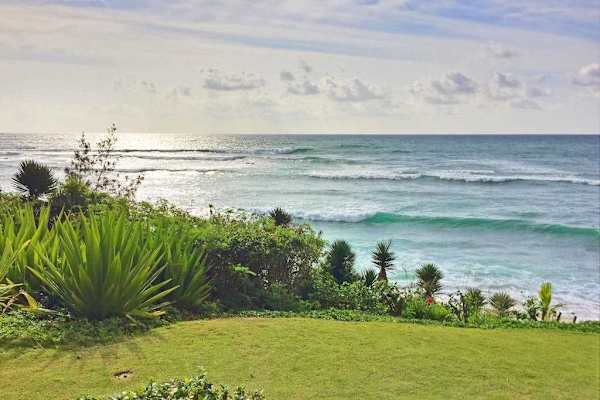 Scenic Backyard with Tropical Greenery