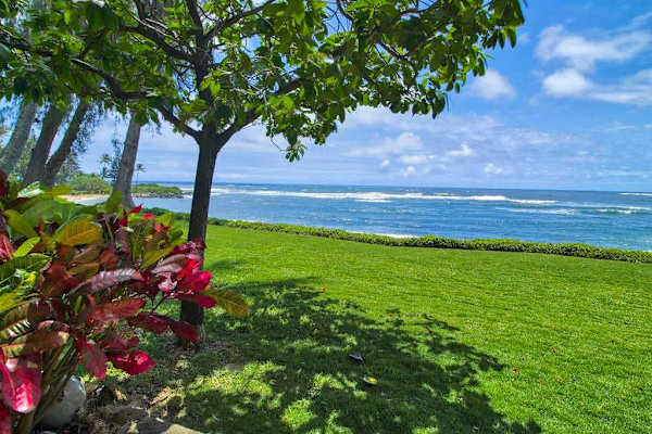 Enjoy the peaceful oceanfront lawn framed by tropical shade trees.