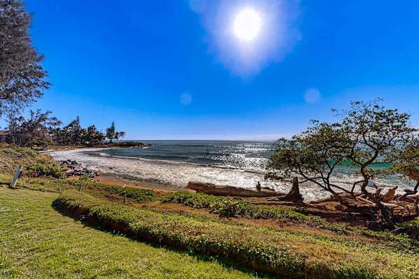 Experience Kauai's natural beauty from the lush oceanfront lawn.