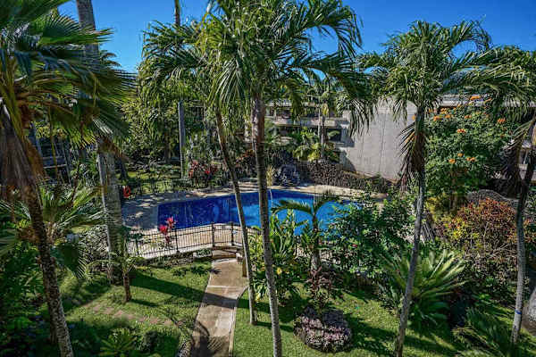 Lush Tropical Gardens With Pool Views
