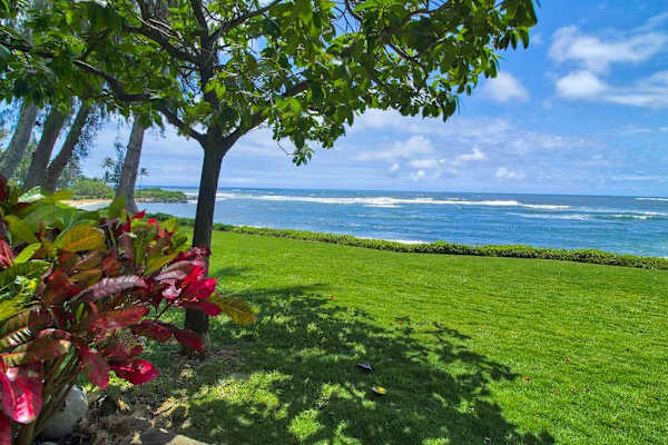 Relax beside the shoreline surrounded by lush tropical scenery.