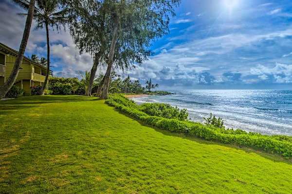 Expansive oceanfront lawn offering picturesque coastal scenery.
