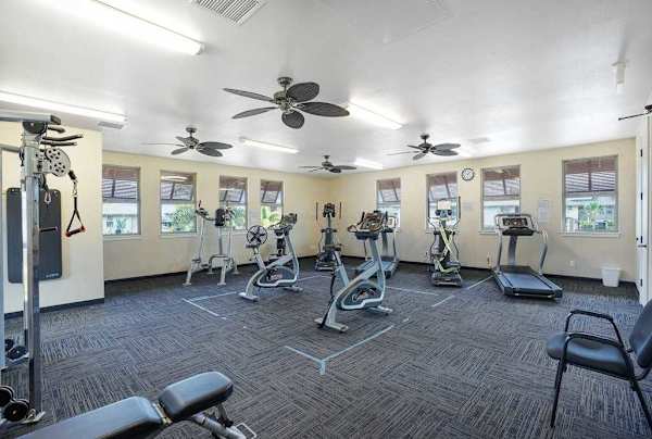 Spacious Gym With Modern Equipment