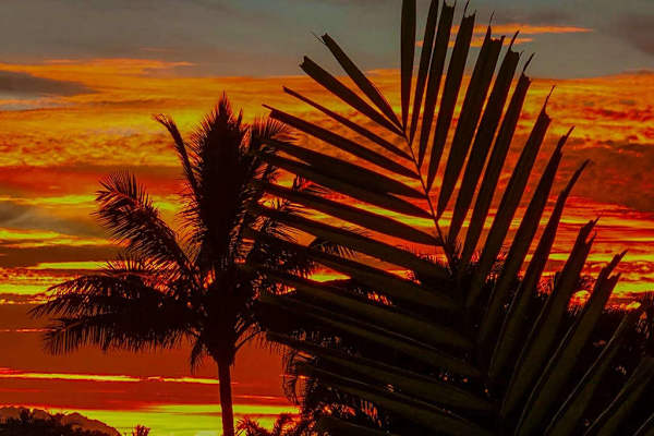 Golden Sunset From Your Private Patio
