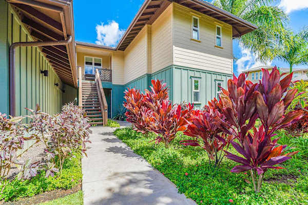 Lush Tropical Walkway To Your Retreat