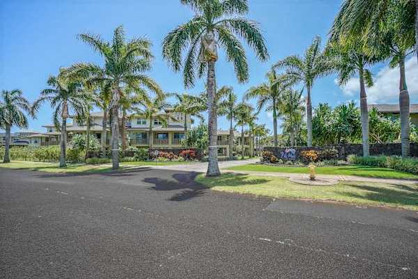 Palm Lined Resort Entrance