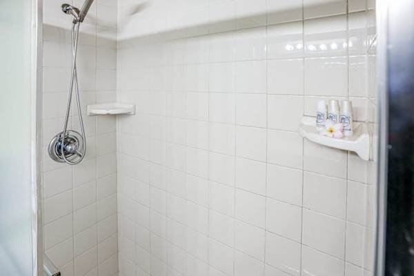 Walk-In Shower With Fresh Finishes
