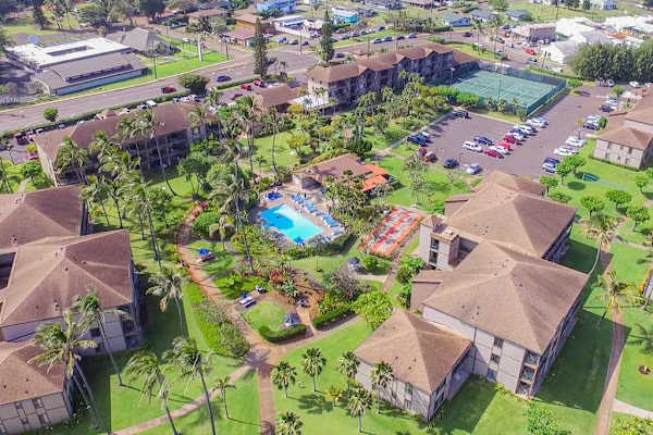 Aerial View Of A Lush Tropical Resort