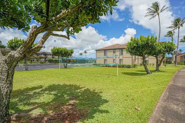 Peaceful Green Lawn With Coastal Views