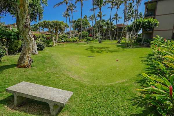 Quiet Garden Lawn With Tropical Landscaping