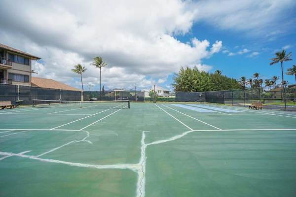 Sunny Tennis Court With Tropical Surroundings