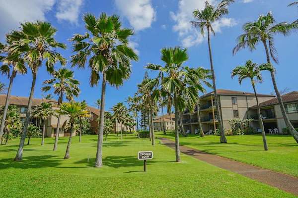 Palm-Filled Courtyard With Island Charm