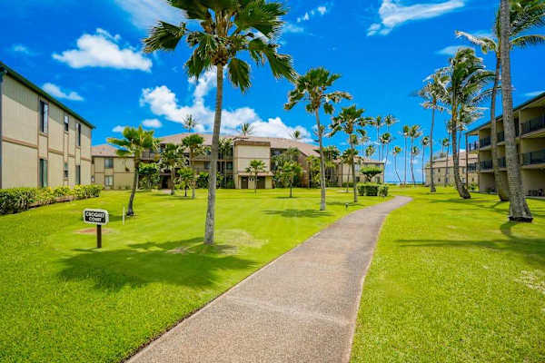Palm-Lined Garden Path Through The Resort
