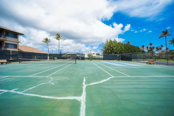Open Tennis Court Under Tropical Skies