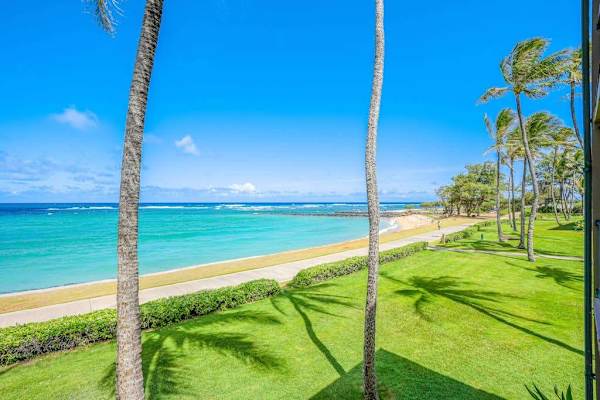 Beautiful Oceanfront Lawn With Palm Trees