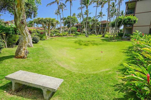 Peaceful Tropical Lawn With Garden Seating