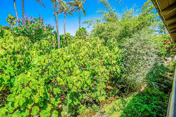 Waikomo Stream Villas Resort with lush tropical foliage.