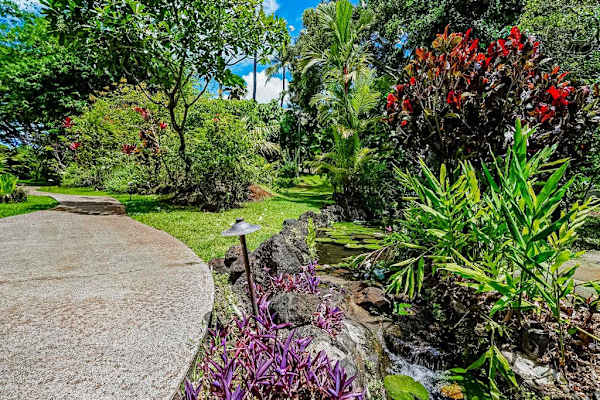Waikomo Stream Villas Resort with lush tropical foliage.