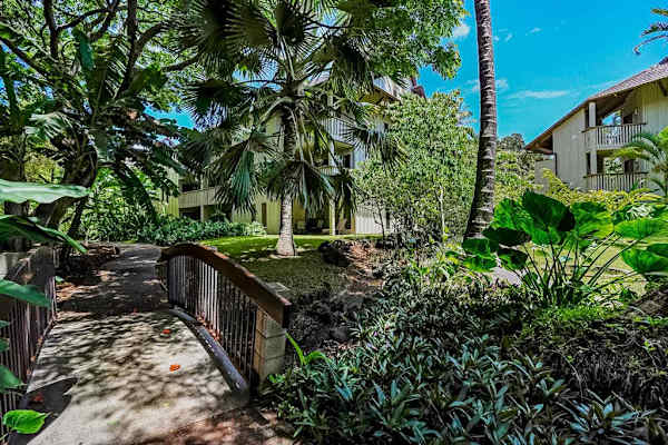 Waikomo Stream Villas Resort with lush tropical foliage.
