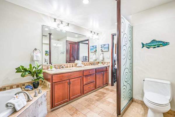 Elegant King Master Bathroom With Spa Feel