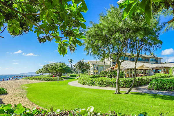 Lush Tropical Backyard With Peaceful Island Views
