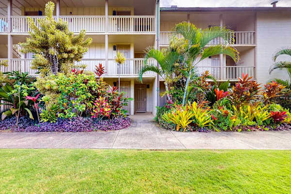 Lush Tropical Gardens In Bloom
