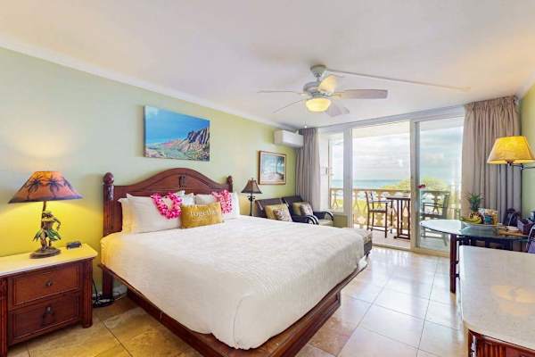 Spacious Studio With Resort Views
