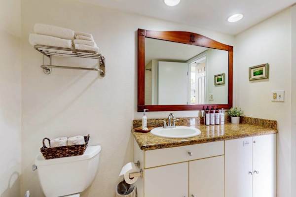 Spa-Inspired Full Bathroom
