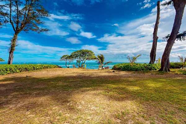 Oceanfront Lawn Steps From The Shore
