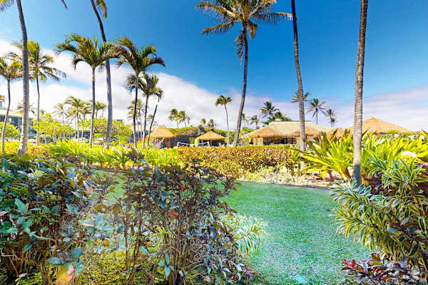 Lush Tropical Gardens To Explore