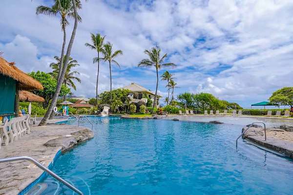 Resort Pool Surrounded By Palms
