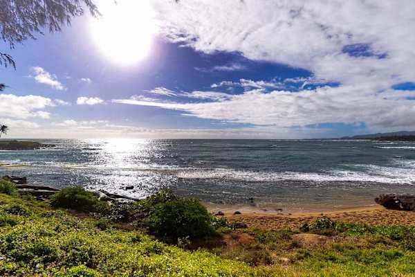 Marvel at the sparkling Pacific from the scenic beachfront lawn.