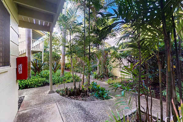 Peaceful tropical walkway surrounded by lush island landscaping.