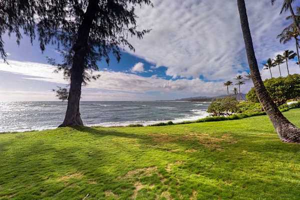 Escape to peaceful coastal scenery just steps from the shoreline.