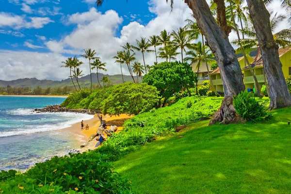 Lush Oceanfront Paradise
