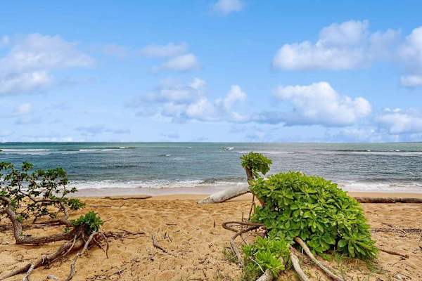 Peaceful Beachfront Escape
