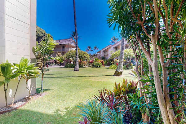 Lush Tropical Lawn Right Outside Your Door